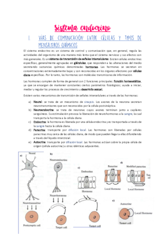 Sistema-endocrino.pdf