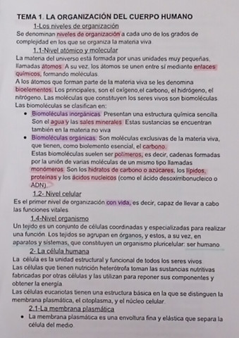 La-organizacion-del-cuerpo-humano.pdf