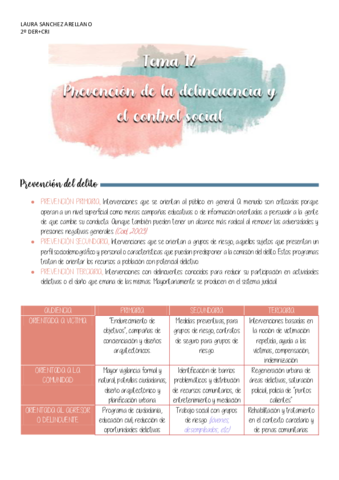 TEMA-12-DELINCUENCIA-Y-CONTROL-SOCIAL.pdf