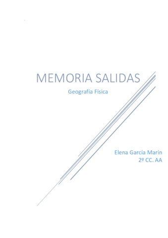 MEMORIA SALIDAS.pdf