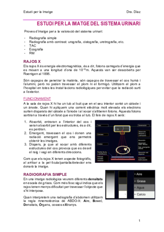 2-SistemaUrinari.pdf