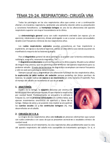 TEMA-23-24.RESPIRATORIO.pdf