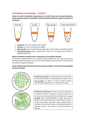 Actividades-Micro-8.pdf