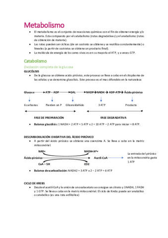 Tema-4-Metabolismo.pdf