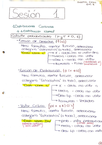 Pautas-para-Pruebas-de-Excell-Sesiones-1-al-5.pdf