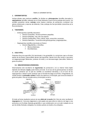 Tema-23-Espermatofitos.pdf