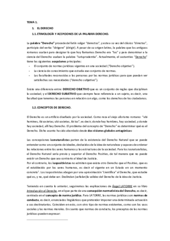 TEMARIO-DE-INTRO.pdf