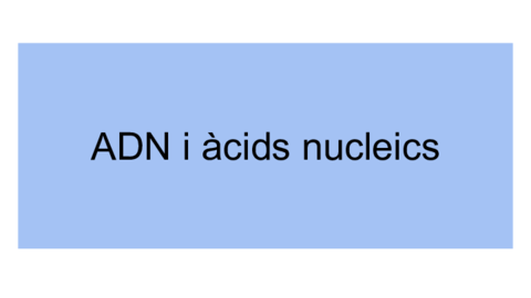 DNA.pdf