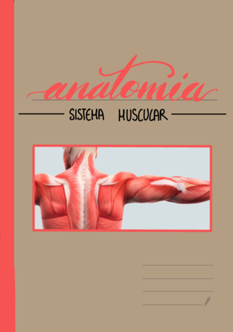 Anatomia|El sistema muscular|.pdf