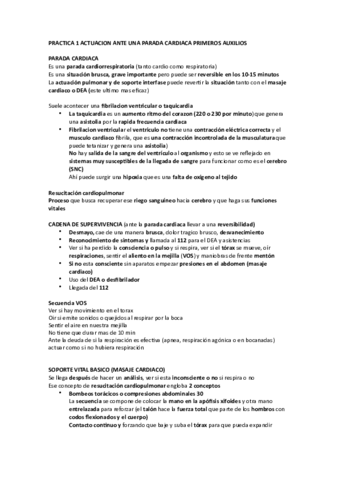 PRACTICA-CARDIO-COMPLETA.pdf