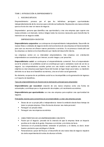 tema-1-resumido.pdf