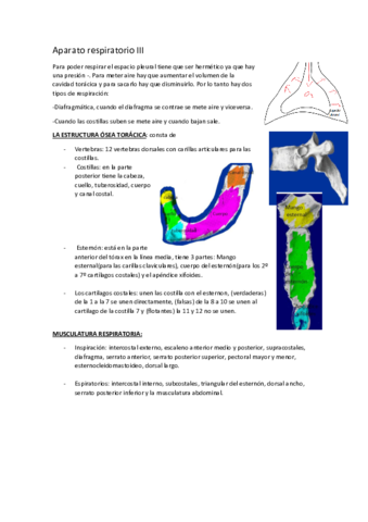 tema-7-respiratorio-III.pdf