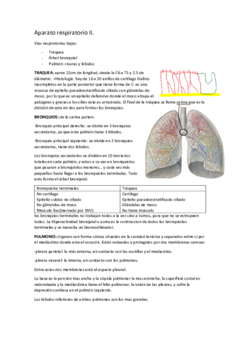 tema-6-respiratorio-II.pdf