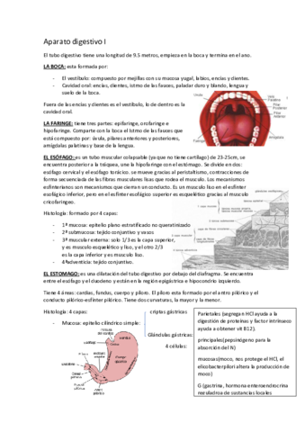 tema-11-digestivo-I.pdf