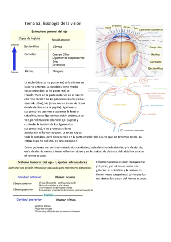 tema-52-fisiologia-de-la-vision.pdf