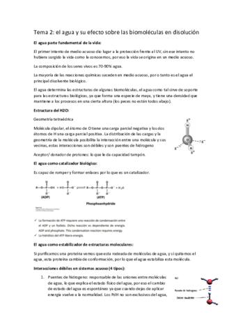 tema-2-el-agua.pdf