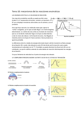 tema-10-menanismos-de-las-reacciones-enzimaticas.pdf