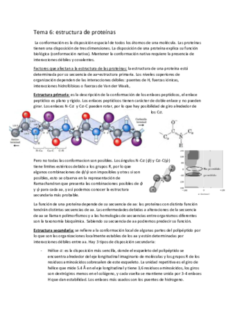 tema-6-estructura-proteinas.pdf