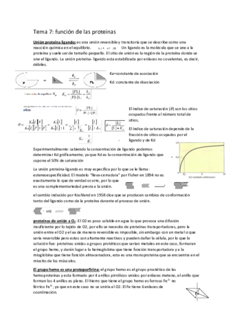 tema-7-funcion-de-las-proteinas-hemoglobina.pdf