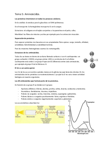 tema-5-aminoacidos.pdf