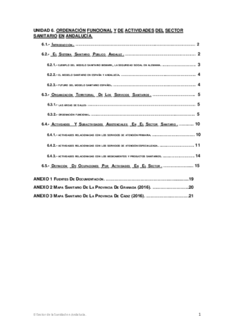 TEMA-6-ORDENACION-FUNCIONAL-Y-DE-ACTIVIDADES-DEL-SSA.pdf