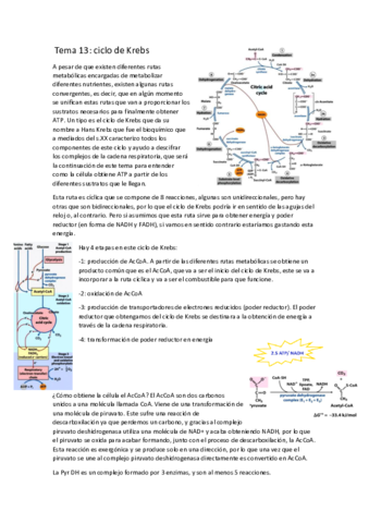tema-13-ciclo-de-krebs.pdf