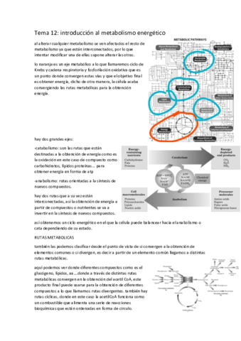 tema-12-introduccion-al-metabolismo.pdf