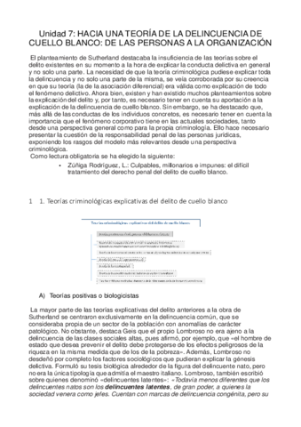 Tema-7-Delincuencia-de-Cuello-Blanco.pdf