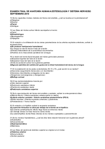 preguntasresueltas.pdf