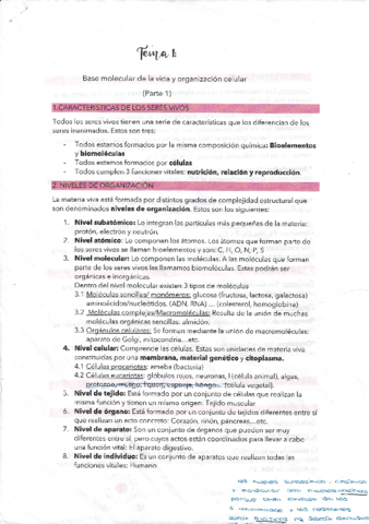Tema-1.pdf