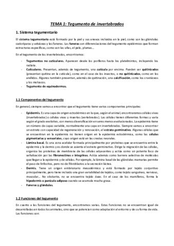 Apuntes-organografia-primer-parcial.pdf