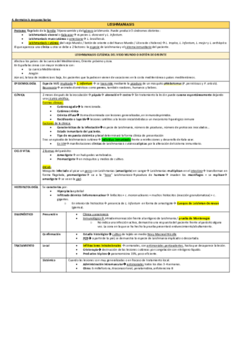 4.pdf