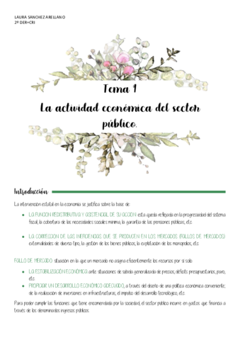 TEMA-9-INTRODUCCION-A-LA-ECONOMIA.pdf