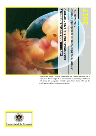 Tema-3-apuntes-Origen-y-desarrollo-del-Sistema-Nervioso.pdf