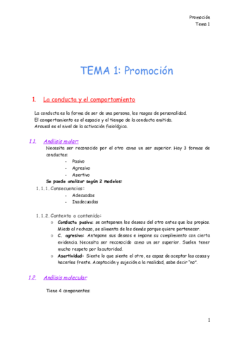 TEMA-1-Promocion-T.pdf