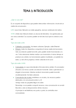 Tema 1.pdf