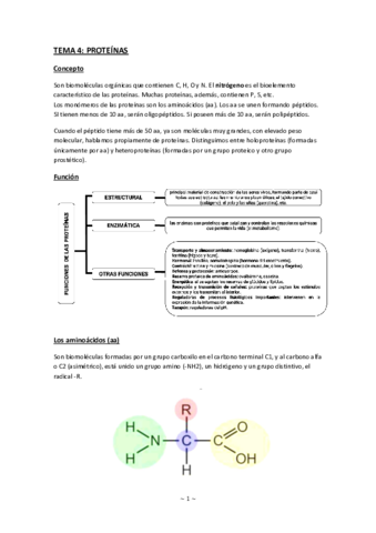 4-Proteinas.pdf