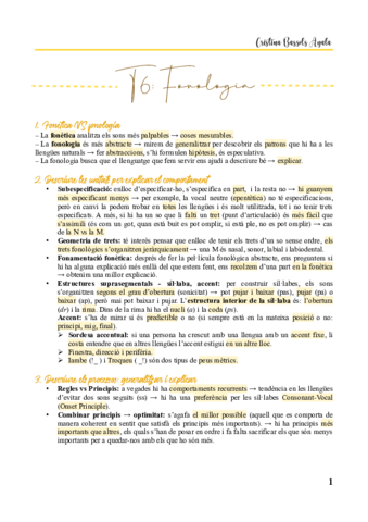 T6-Fonologia.pdf