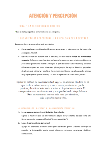 AYPTema7LA-PERCEPCION-DE-LOS-OBJETOS.pdf