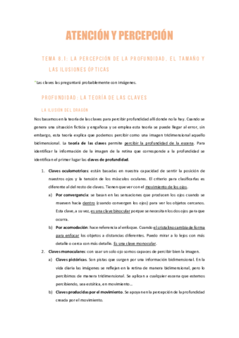 AYPTema8.pdf