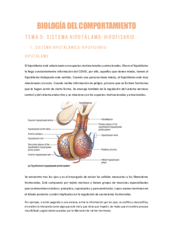 TEMA-5.pdf