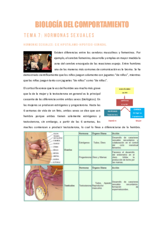 BDCTEMA-7HORMONAS-SEXUALES.pdf