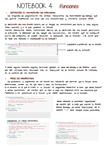 Programacion-Notebook-4.pdf