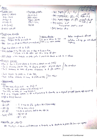 Tema-1-Matrices-determinantes-y-sistemas-de-ecuaciones.pdf