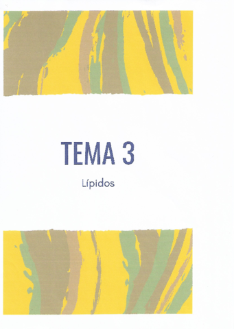 T3-Lipidos.pdf