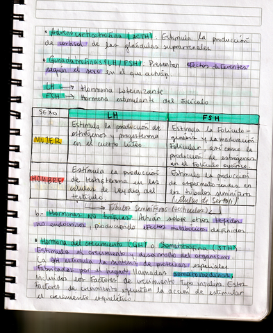 IMG202012100004.jpg
