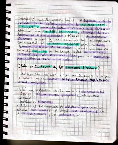 IMG202012100007.jpg