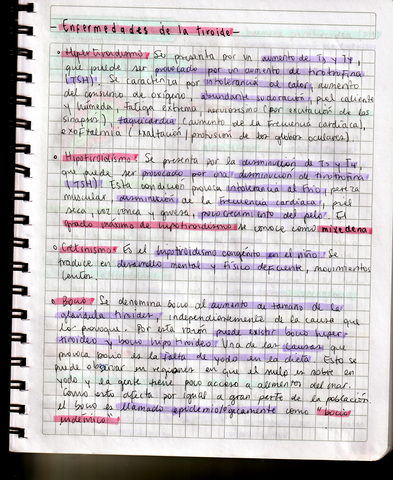 IMG202012100008.jpg