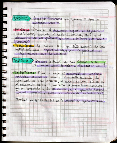 IMG202012100012.jpg