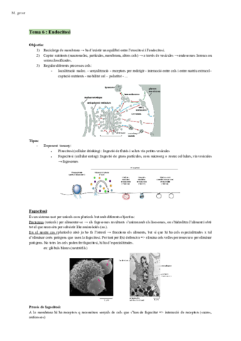 Biocel-2n-parcial-tot.pdf